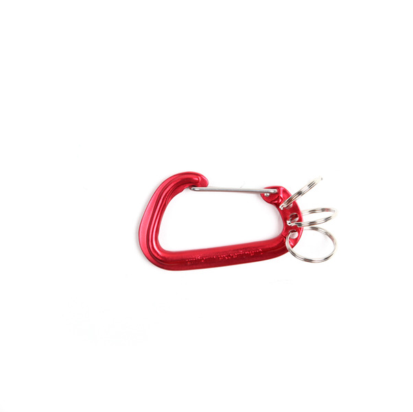 Uniform Expirement Carabiner -6